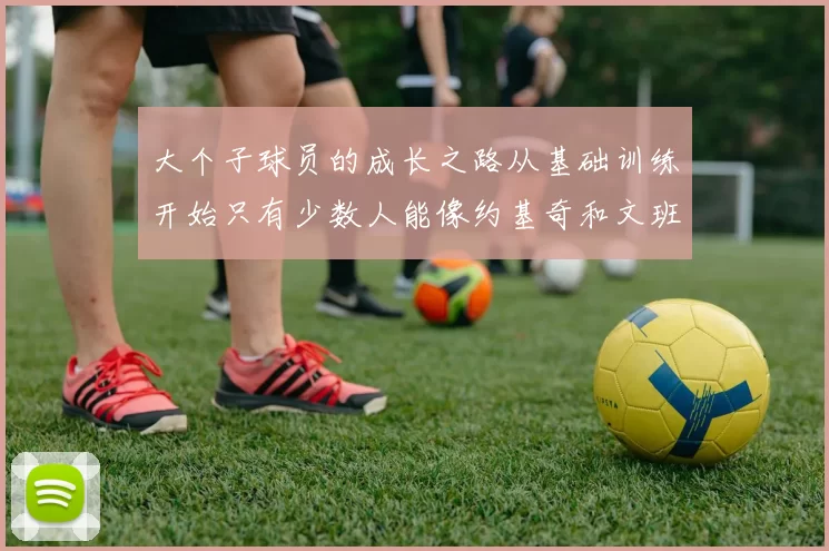 大个子球员的成长之路从基础训练开始只有少数人能像约基奇和文班那样成功