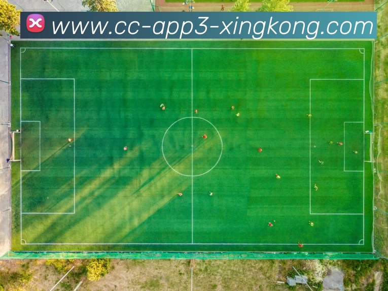 奖项图2